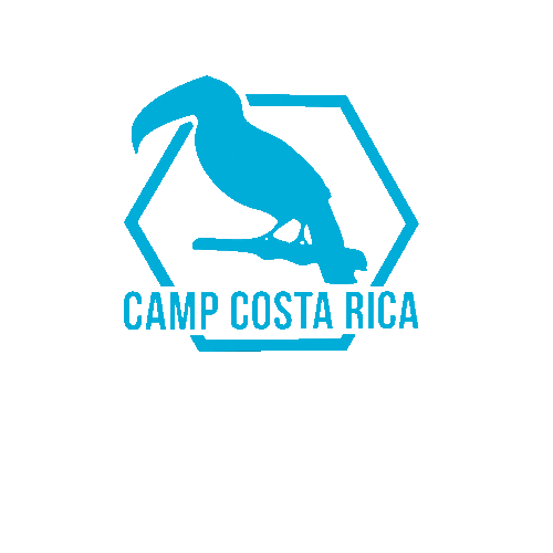 Camp Campcostarica Sticker by Camps International