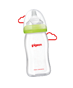 Pigeon Arabia Sticker