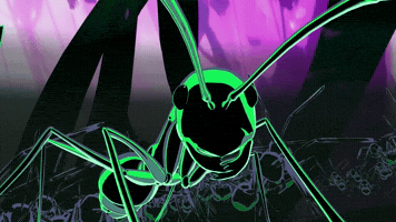 Bug Insect GIF
