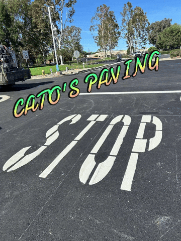 Bay Area GIF