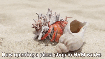 Halifaxretales GIF