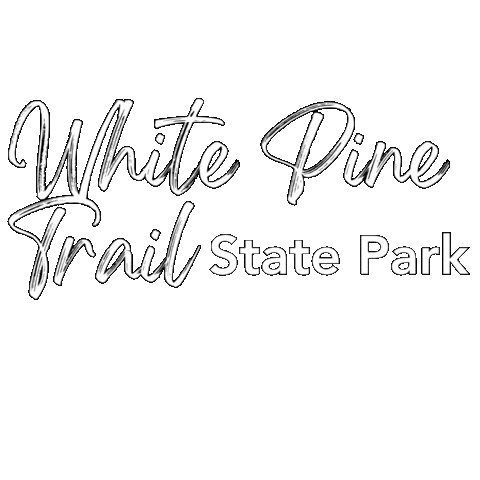 State Park Sticker by State of Michigan