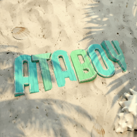 Ataboy Beach GIF by ATABOY