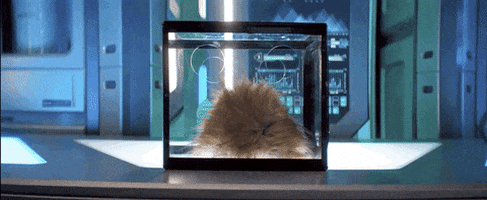 200.gif