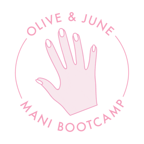 Bootcamp – Olive and June