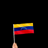 Texas Venezuela GIF by zucarga