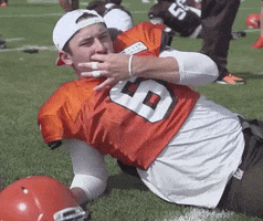 Cleveland Browns Football GIF
