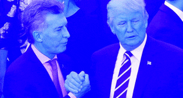 Pactodecaballeros GIF