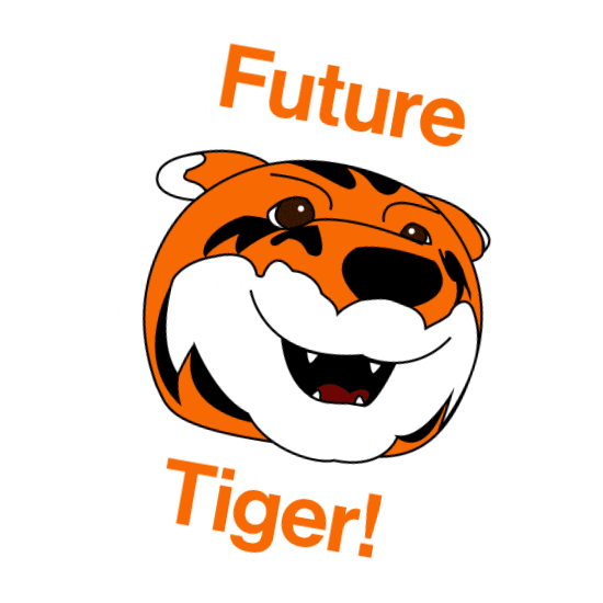 College Tiger Sticker by Rochester Institute of Technology