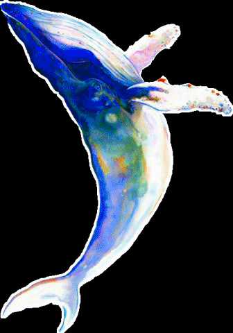 Whale GIF by La nina Tattoos