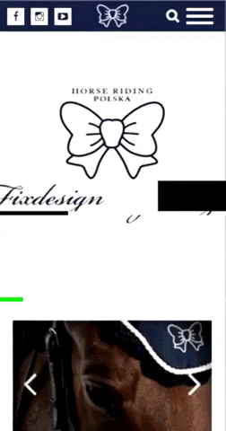 bcweb.pl GIF