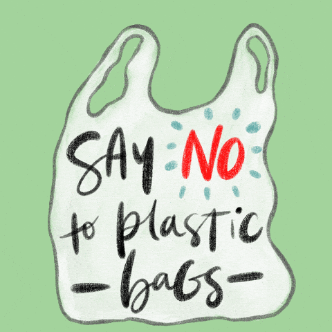 Draw a poster of say no plastic bag - Brainly.in