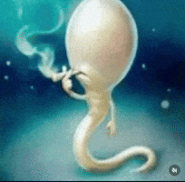 Sergito4R GIF