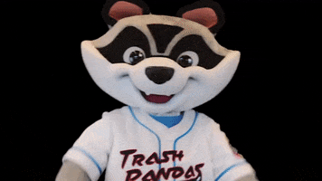 Raccoon Thumbs Up GIF by Rocket City Trash Pandas