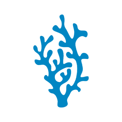 Coral Sticker by Earth Caps