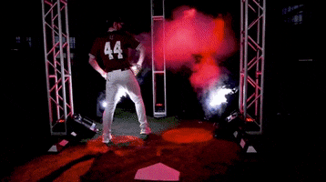 baseball smoke GIF by NCAA Championships