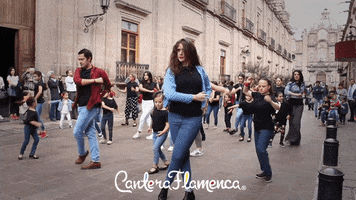 canteraflamenca baile flamenco morelia flamenca GIF