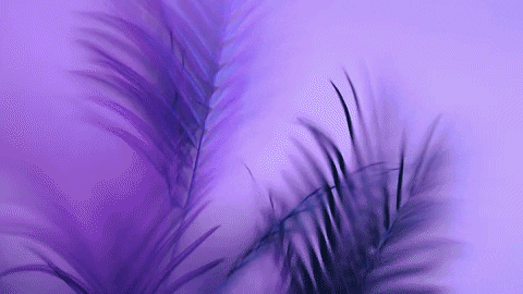 Purple-fog - GIFs Hình ảnh của điểm sương tím sẽ làm bạn phải trầm trồ vì độ độc đáo. Hơi nước tím huyền bí này được thể hiện hoàn hảo trong Purple-Fog GIFs. Hình ảnh lãng mạn và hoang dã tạo nên hiệu ứng đẹp đến kỳ lạ, khiến bạn cảm thấy như đang du hành đến một thế giới mới. Hãy xem và tận hưởng cảm giác này.