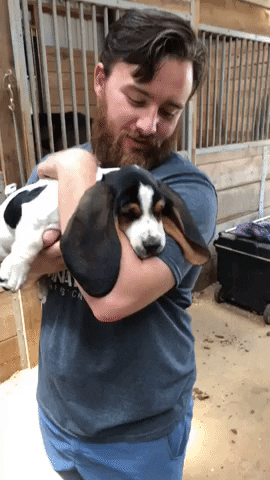 Puppy Love Baby GIF by Eddie & Laura Burton Realty Group