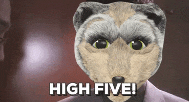High Five Minnesota Timberwolves GIF by FOX Sports North/Wisconsin