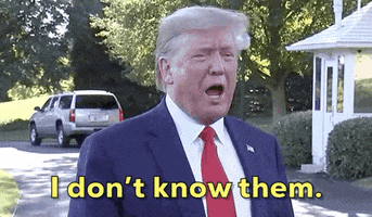 I Dont Know Them Donald Trump GIF by GIPHY News