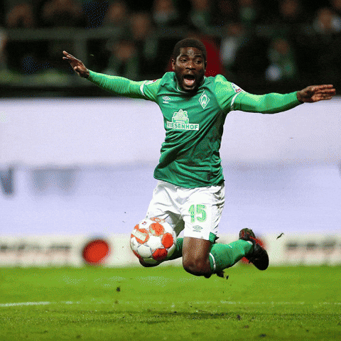 Werder Bremen Schalke GIF