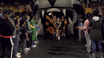 Basketball Cheer GIF by Milwaukee Panthers
