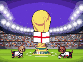 World Cup Football GIF by HotDogs