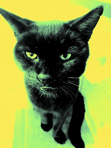 Happy Cat Kids GIF