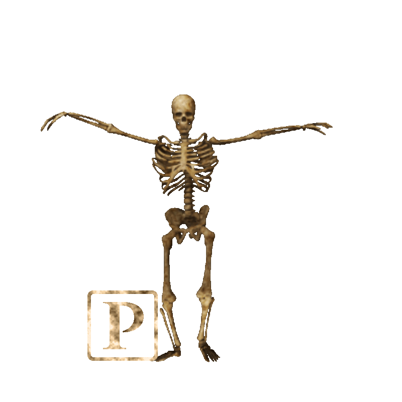 Dance Skull Sticker by DJ The Prophet for iOS & Android GIPHY