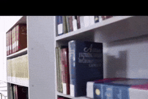 lpnu GIF
