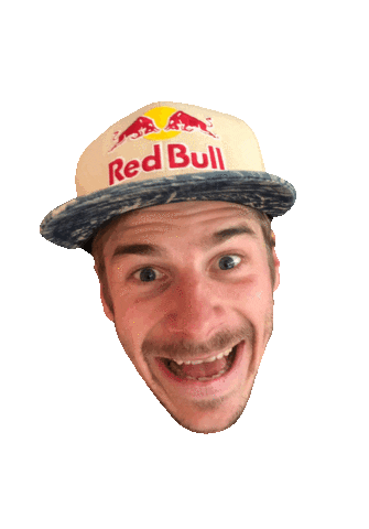 Wingsuit Gurgl Sticker by gurgl.official