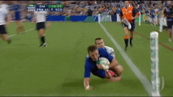 Happy France GIF by World Rugby