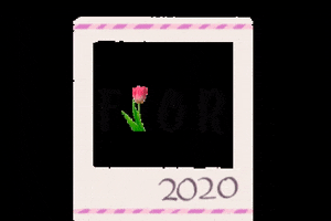 Flormeninna GIF