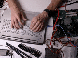 Electronic Certification GIF by Oi