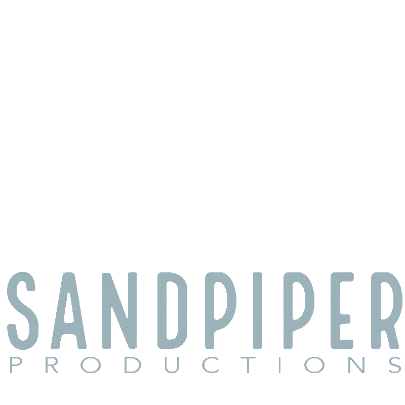 Sandpiper Sticker