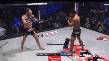 Fight Fighting GIF by Jackson Wink MMA Academy
