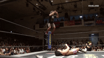 Body Slam GIFs - Get the best GIF on GIPHY