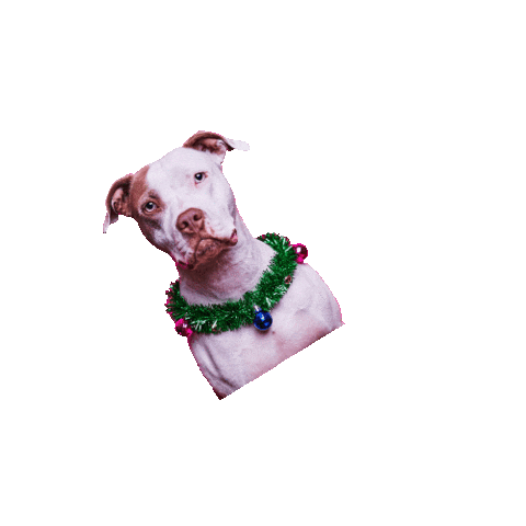 The Love Pit Rescue Sticker