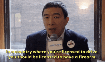 Andrew Yang Gun Control GIF by Election 2020