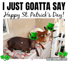 St Patricks Day Good Luck GIF by Goatta Be Me Goats! Adventures of Pumpkin, Cookie and Java!