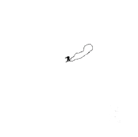 Style Snowboarding Sticker by Karakoram