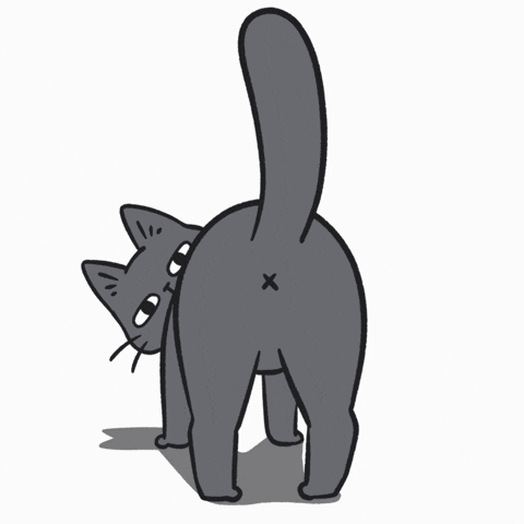 Cat Catbum GIF