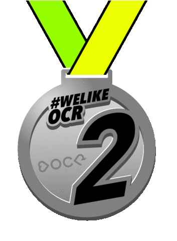 Welikeocr Sticker