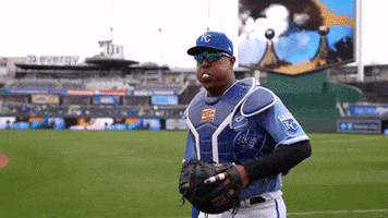 Major League Baseball Sport GIF by MLB