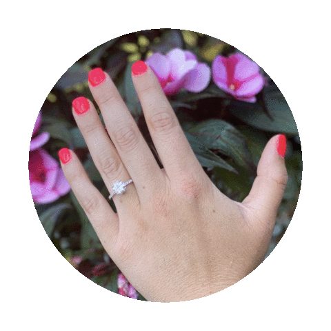 Ring Sticker by Stacy McFadden Signature Premier