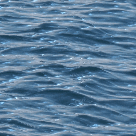 Water Ocean GIF