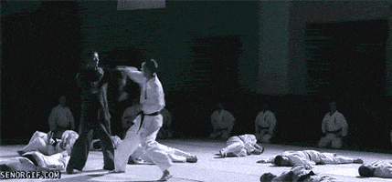 kung fu punching GIF by Cheezburger