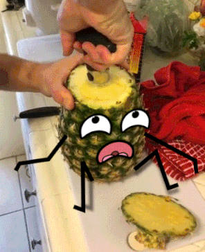 Rotting Fruit GIFs - Get the best GIF on GIPHY