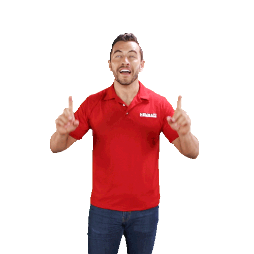 Ladelborreguito Sticker by HEMSA